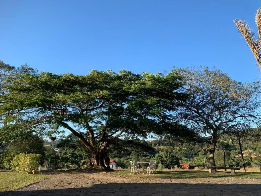 Dos Vinhos